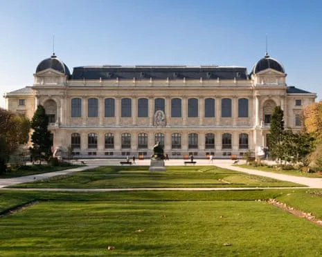 Historic Golden Specimens Snatched in Audacious Robbery at French Natural History Institution